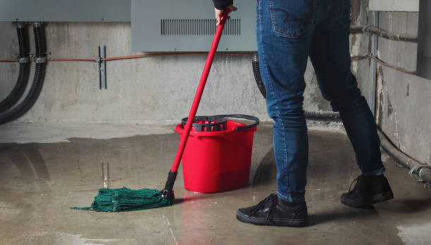 Best Carpet water damage restoration  in Newk, AR