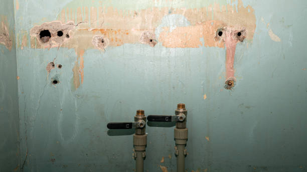 Best Fire Damage Restoration  in Newk, AR