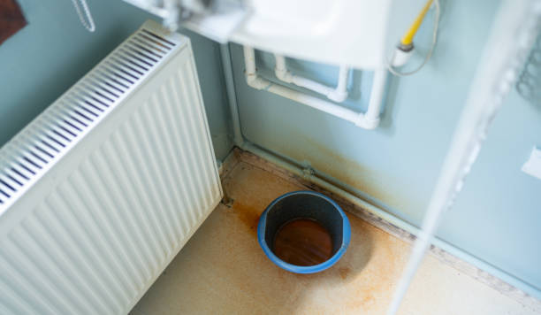 Best Flood damage cleanup  in Newk, AR